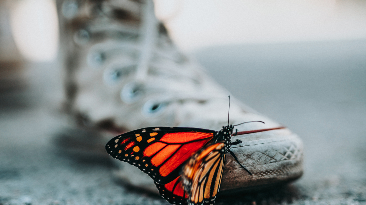 Transformed & Renewed